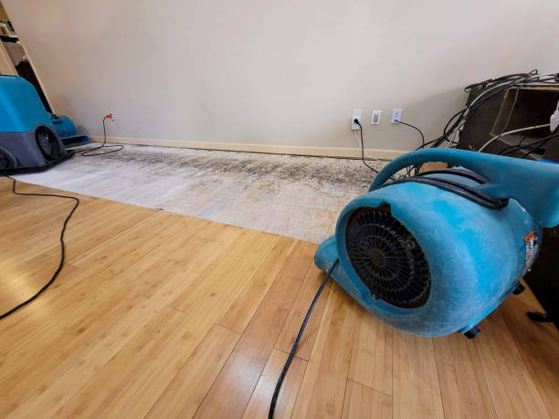 Professional Flood Damage Cleanup technician working in Dover, OK